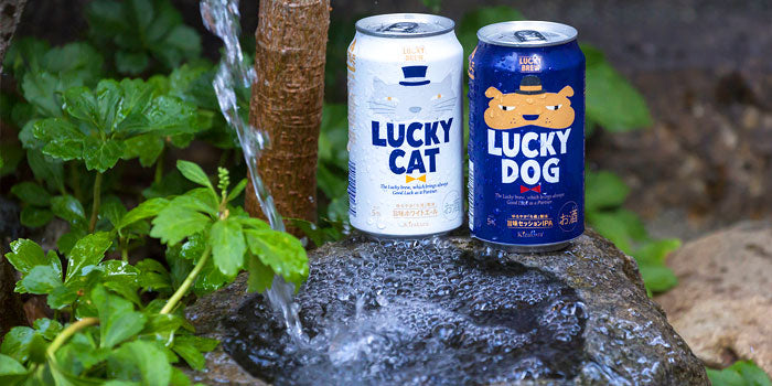 럭키캣·럭키도그·럭키치킨 3종 6캔 세트 무료배송 – 지친 하루를 웃게 만드는 귀여운 행운의 크래프트 맥주
