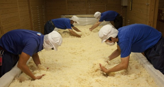 적토마 고급 우메슈 진한고구마+향기로운 매실 고급 매실주 14도 720ml 무료배송