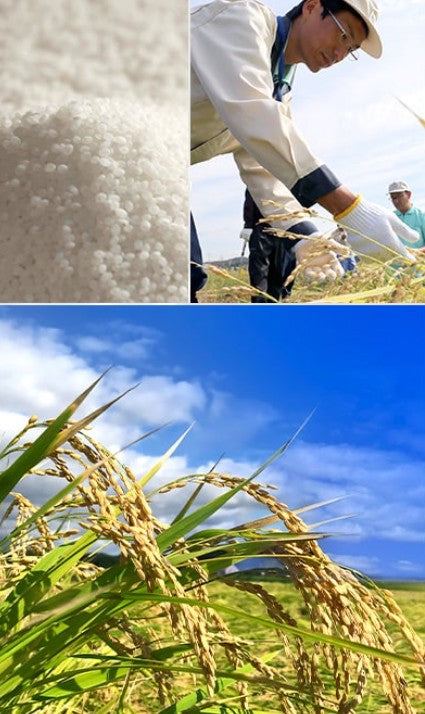 월계관 겟케이칸 덴쇼우 다이긴죠 1.8L 무료배송