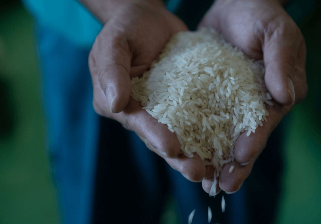 시마우타 아와모리 부드럽고 향긋한 오키나와 전통주 30도 팩 900ml 무료배송