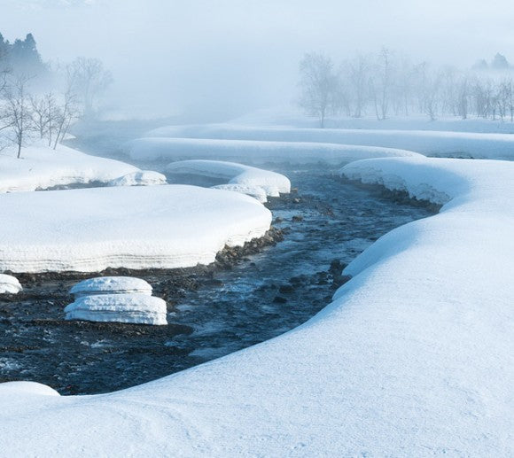 죠젠미즈노고토시 상선여수 준마이 긴죠 720ml 무료배송