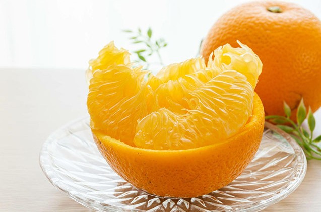 나카노BC 기슈 하사쿠(음력 8월 1일 무렵에 처음 수확되는 감귤의 한 종류)  우메슈 1.8L 12도 무료배송 - 산뜻한 쌉쌀함과 달콤한 조화 상큼함이 오래 남는 감귤 리큐르