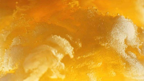 키린 이치방 시보리 350ml × 24캔 무료배송 – 일본인이 사랑하는 첫 번째 한 방울의 깊은 맥주