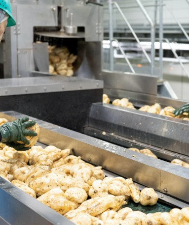 토라후 (호반: 호랑이 무늬) 키리시마 고구마 소주 25도 900ml 무료배송