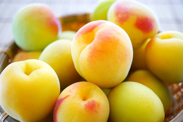 아사쿠라 우메슈 20도 500ml 무료배송 – 오크통 숙성으로 깊어진 풍미의 프리미엄 매실주