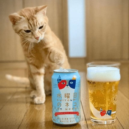 수요일의 고양이 350ml x 12캔 세트 무료배송 – 부드럽고 상큼한 벨기에식 프리미엄 맥주