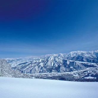 죠젠미즈노고토시 상선여수 준마이 다이긴죠 720ml 무료배송