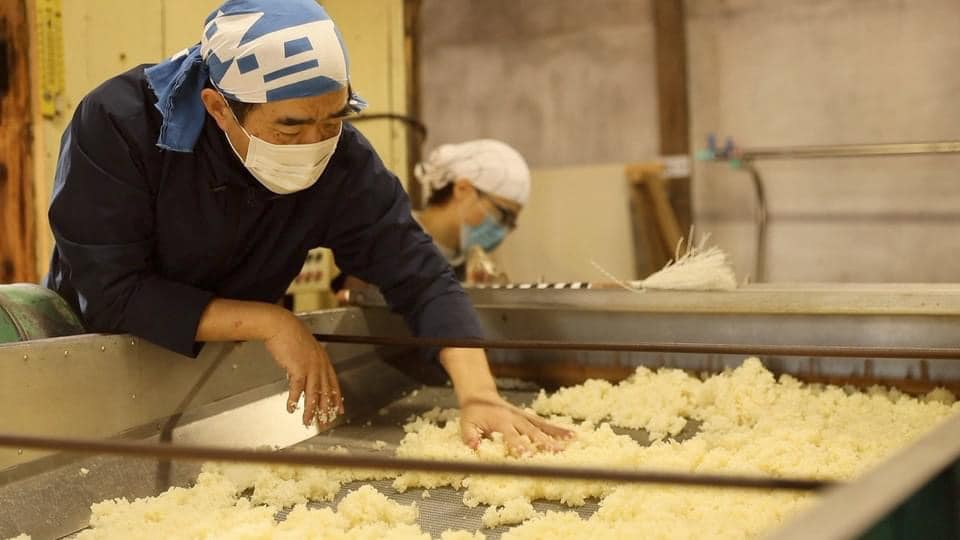 히야네 키라비 생원주 일본의 인기 높은 준마이 긴죠 17도 720ml 무료배송