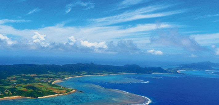 세이후쿠 유자 시쿠와사 720ml 10도 무료배송 - 상큼한 과즙과 아와모리의 깊이, 섬 향기로 완성한 균형 리큐어