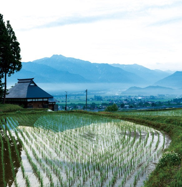 죠젠미즈노고토시 상선여수 니고리 준마이 긴죠 720ml 무료배송