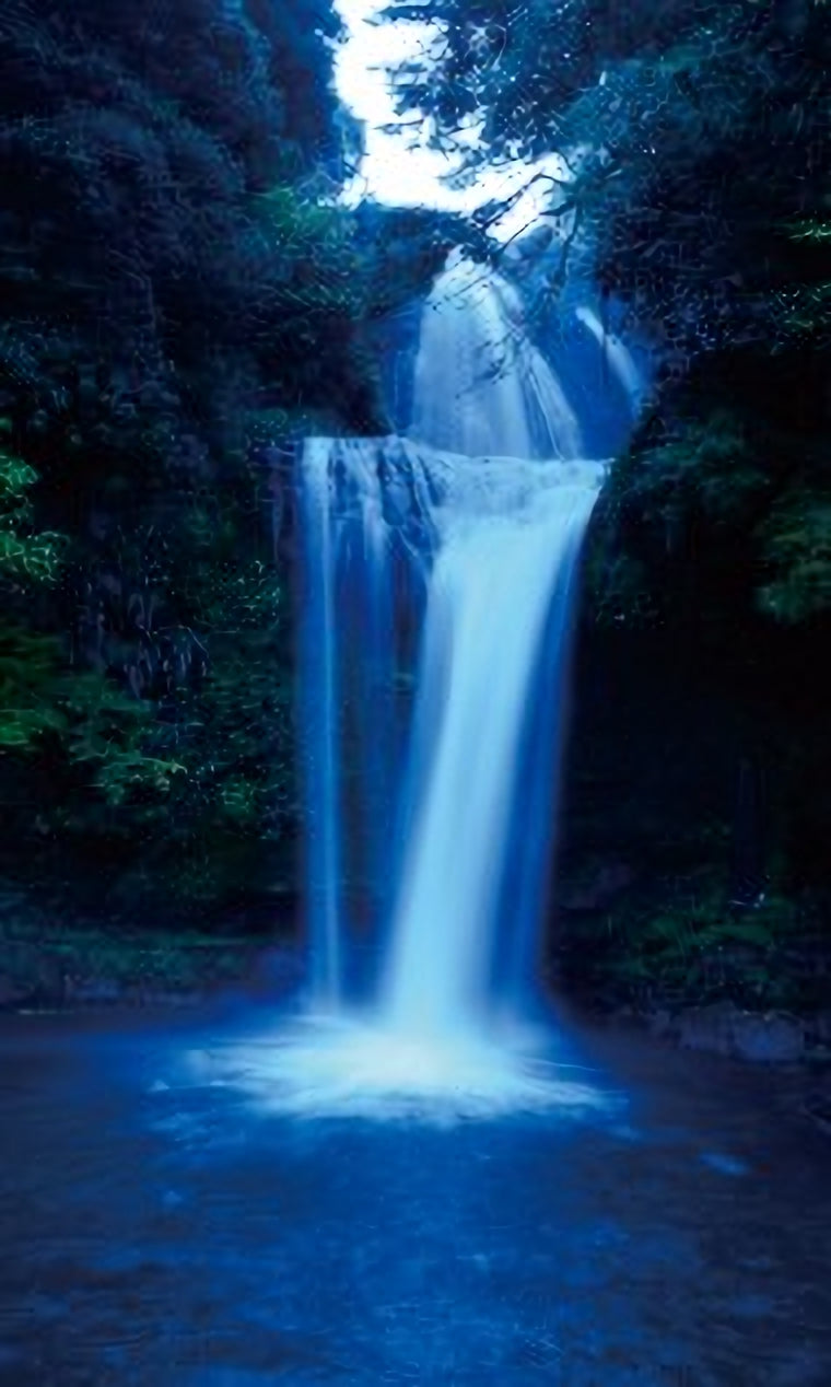 니카이도 오이타 보리 소주 25도 1.8L 무료배송