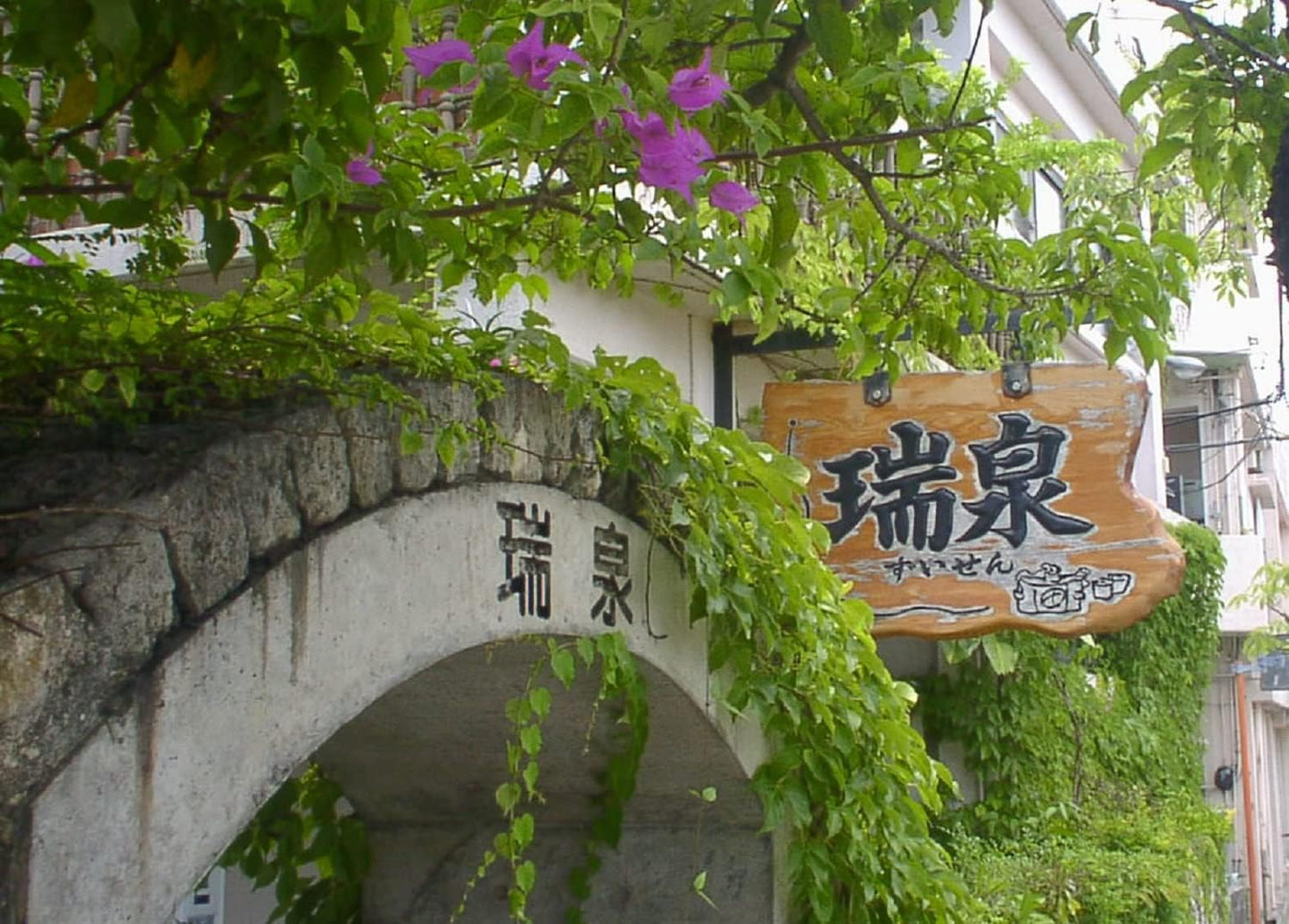 즈이센 세이류 (조이센 청룡) 오키나와 전통 푸른 용의 향기 30도 - 아와모리 소주 1.8L 무료배송