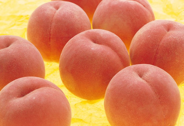 산토리 KANÁDE 백도 700ml 30도 무료배송 - 향긋하고 부드러운 복숭아 리큐르의 정점