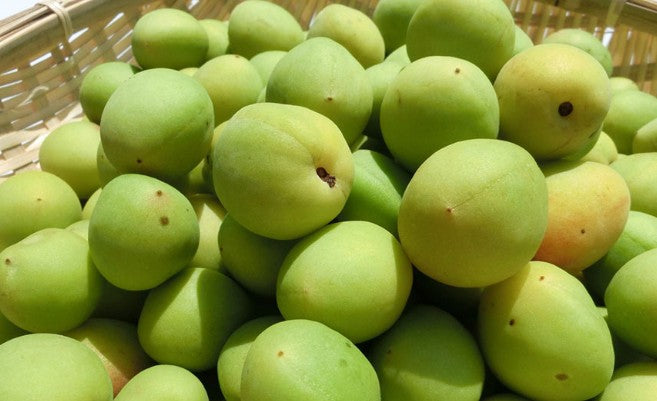 에비스 대흑 복매 후쿠우메 우메슈 1.8L 12.4% 무료배송 – 복을 상징하는 대흑신이 미소 짓는 깊은 맛의 프리미엄 흑설탕 숙성 매실주