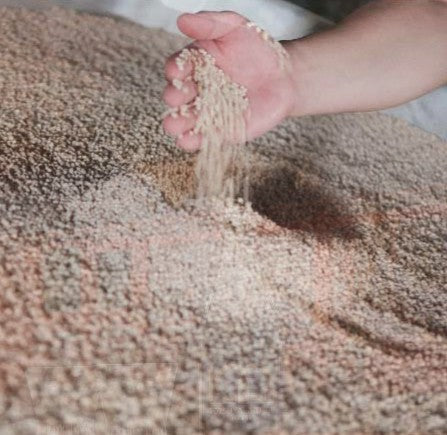 【환상의 보리소주】카네하치 보리소주 25도 (사쓰야 주조) 1.8L 무료배송