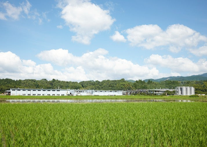 긴레이 금시로 720ml 25도 무료배송 - 삼중 통 숙성의 부드러움과 고급 향을 담은 프리미엄 쌀소주