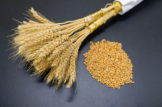 [오키나와 감성] 오리온 드래프트 맥주 350ml × 24캔 무료배송 – 남국 오키나와 NO.1 청량한 한 모금