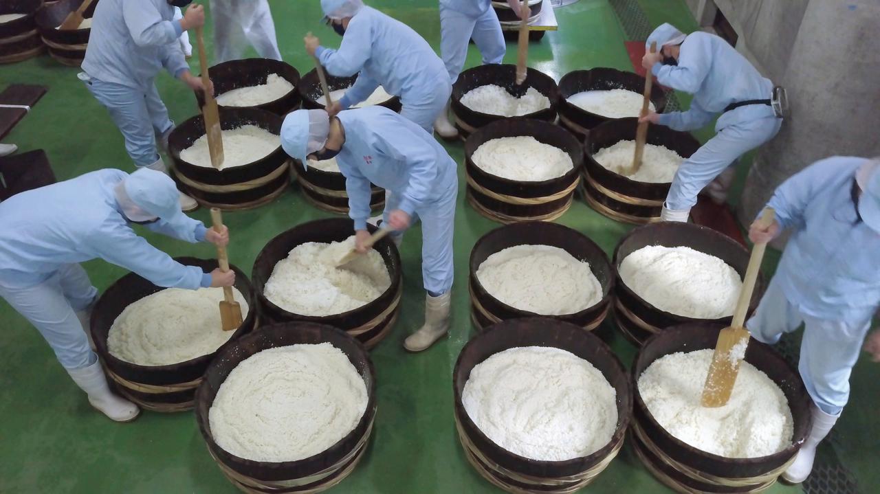 【한정수량】키쿠마사무네 햐쿠모쿠(백묵) 준마이 긴죠 720ml 무료배송