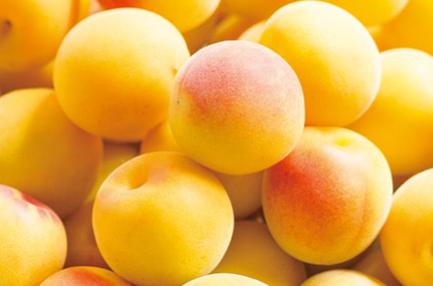 삿포로 오토코 (남매) 우메의 술 720ml 15도 무료배송 – 진하게 우러나는 매실 짭짤 최고의 감칠맛, 우메슈 스타일 리큐르