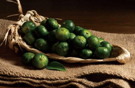 나카노BC기슈 시쿠와사(오키나와와 대만 쪽이 원산인 아주 작은 초록 감귤) 매실주 1.8L 12도 무료배송 - 상큼한 시쿠와사와 남고매가 만난 청량한 과실 리큐르