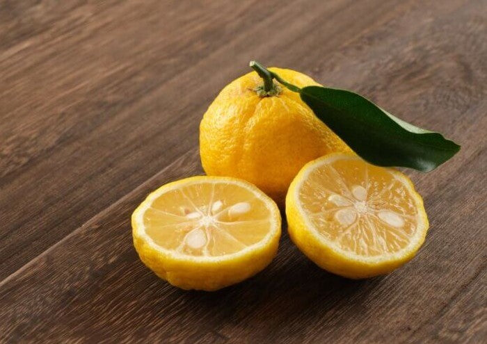 고쇼 양조 유자주 500ml 10도 무료배송 – 가고시마 유자와 보리 소주의 산뜻한 황금 밸런스