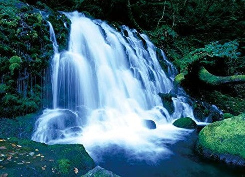 산토리 프리미엄 몰츠 카오루 에일 350ml × 24캔 무료배송 - 향기로 마무리하는 하루, 산토리 카오루 에일