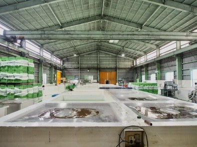 쿠마노전설 화이트 매실주 720ml 13도 무료배송 – 완숙 난코우매 3년 숙성의 고급 프리미엄 리큐르