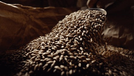 오리온 75비루 시마카제 필스너 350ml × 24캔 무료배송 – 섬의 바람을 닮은 청량한 프리미엄 라거