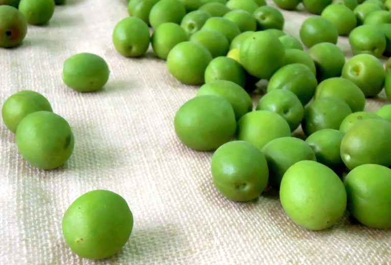 백년 우메슈 위스키 통숙성 700ml 18도 무료배송 - 바닐라와 중후한 단맛의 프리미엄 매실주