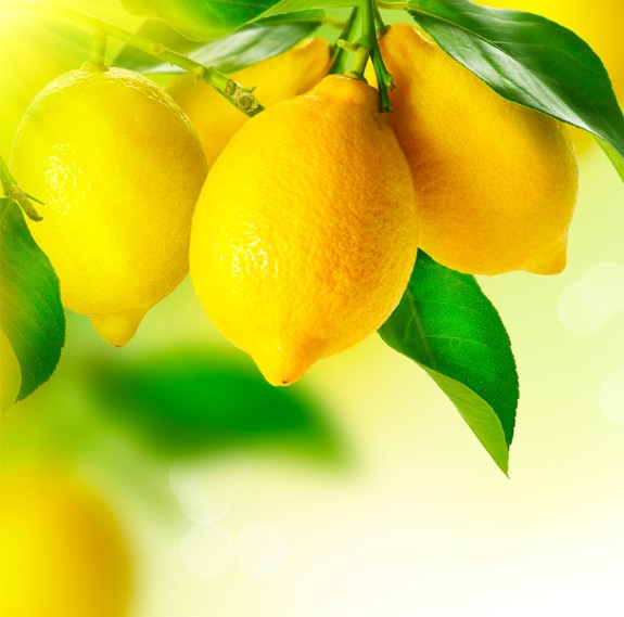 나카노BC 기슈의 매실과 레몬 우메슈 720ml 12도 무료배송 - 상큼 레몬과 깊은 남고매의 청량 조화