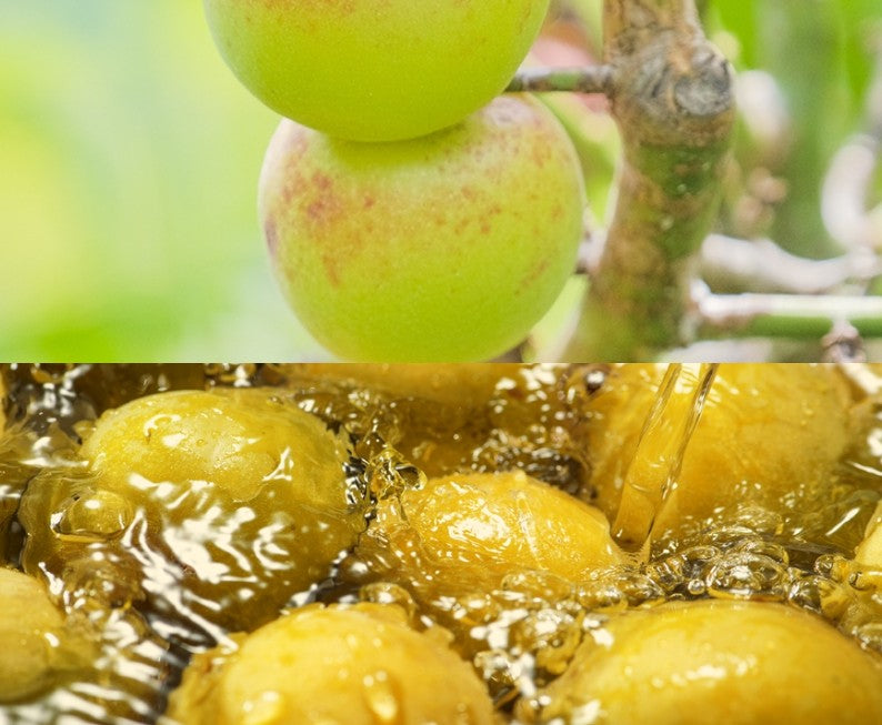 핫카이산 소주로 빚은 우메슈 1.8L 14도 (레드 라벨) 무료배송 – 깊고 부드러운 풍미의 프리미엄 매실주