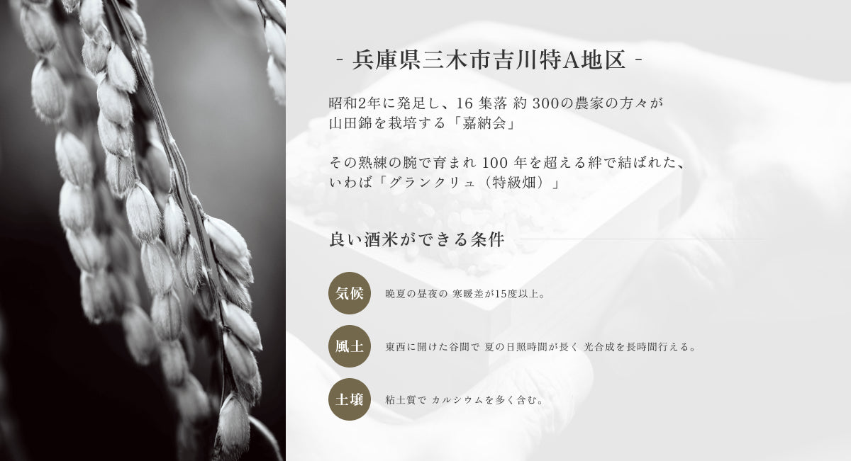 키쿠마사무네 햐쿠모쿠(백묵) 준마이다이긴죠 720ml 무료배송