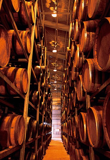 타카라 재팬 25도 700 ml 무료배송 — 일본 굿디자인이 인정한 세련된 프리미엄 소주