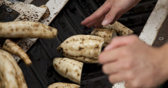 적토마 고급 우메슈 진한고구마+향기로운 매실 고급 매실주 14도 720ml 무료배송