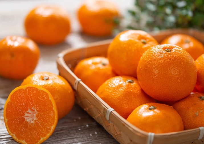 나카노BC 기슈 우메슈와 완숙 미칸(감귤) 1.8L 12도 무료배송 - 상큼하게 달콤한 와카야마 시트러스 우메슈의 정석