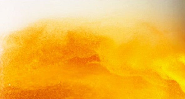 기린 하루에비 맥주 350ml × 12캔 무료배송 – 청명한 홋카이도의 바람을 담은, 기린의 17년 만의 신작 라거