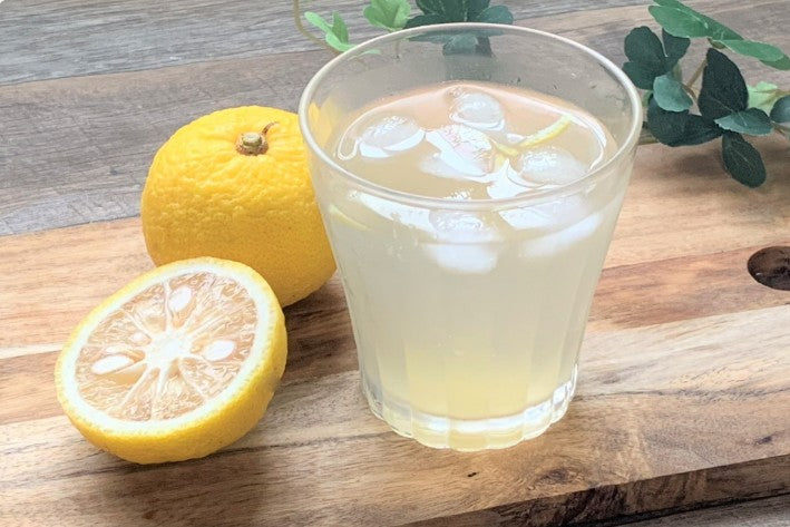 고쇼 양조 유자주 500ml 10도 무료배송 – 가고시마 유자와 보리 소주의 산뜻한 황금 밸런스