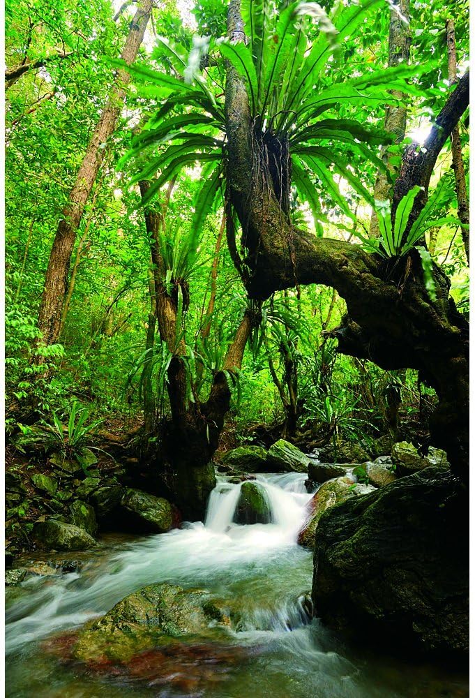 렌토 흑설탕 음악 숙성 소주 25도  1.8L 종이팩 무료배송