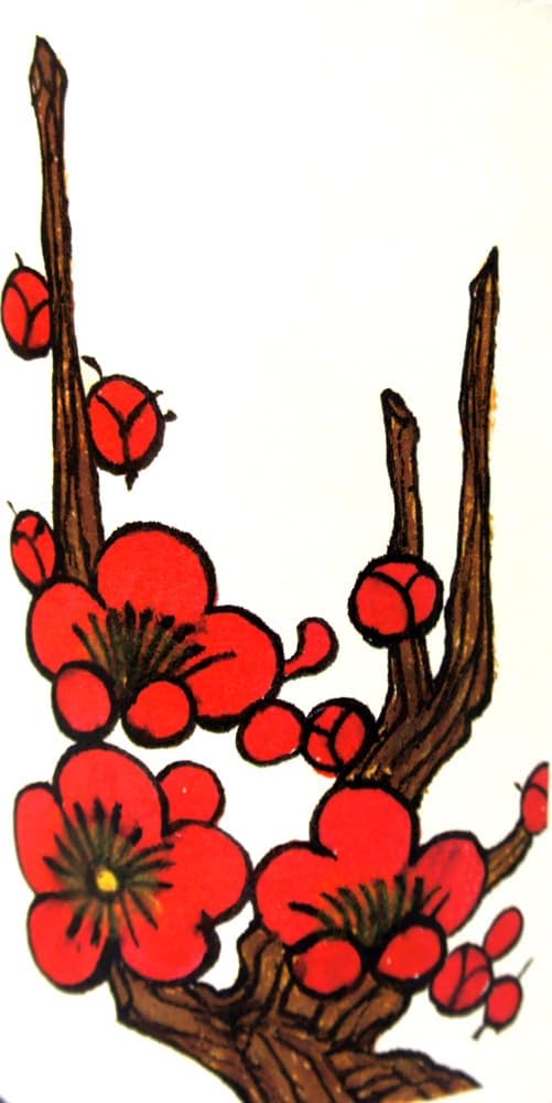 야기 주조 하나후다 매실주 12도 1.8L 무료배송 – 깔끔한 마무리의 프리미엄 매실 리큐르