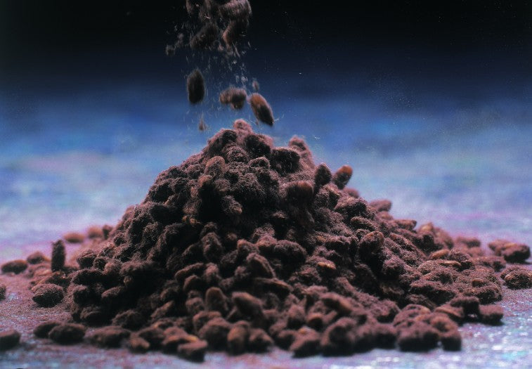 세이후쿠 유자 시쿠와사 1.8L 10도 무료배송 - 상큼한 과즙과 아와모리의 깊이, 섬 향기로 완성한 균형 리큐어