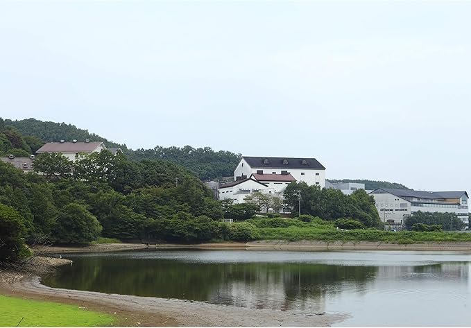 이이치코 실루엣 보리 소주 720ml 무료배송